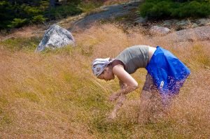 23  CC637-Picking-blueberries-on-Bog-Mountain-.jpg